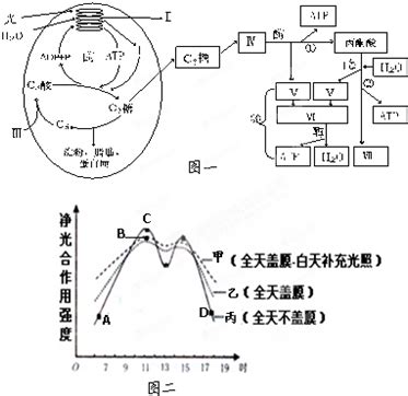 6．下列各表述与示意图一致的是 A．图①表示25℃时.用0.1 mol·L-1盐酸滴定20 mL 0.1 mol·L-1 NaOH溶液.溶液的 ...