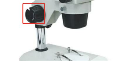 显微镜目镜和物镜的区别 显微镜目镜和物镜有什么区别 - 天奇生活