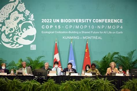 深圳市环境科学研究院派员参加联合国《生物多样性公约》第十五次缔约方大会