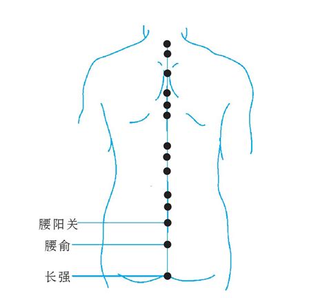 腰俞的准确位置图图片 腰俞的准确位置图图片