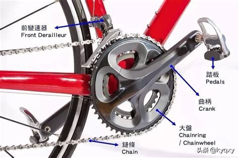 这个自行车变速齿轮怎么拆_百度知道