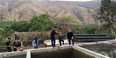 云南省科学技术协会主席朱有勇一行到怒江州调研山地水稻旱种示范推广工作