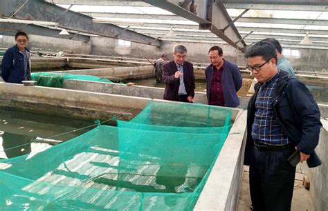 国家淡水、国家海洋两大水产种质资源库在线服务系统全新改版上线-中国水产科学研究院营口增殖实验站