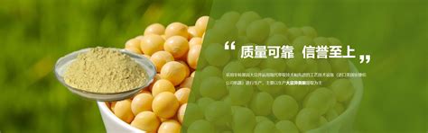 大豆种子-嘉祥腾飞种业有限公司