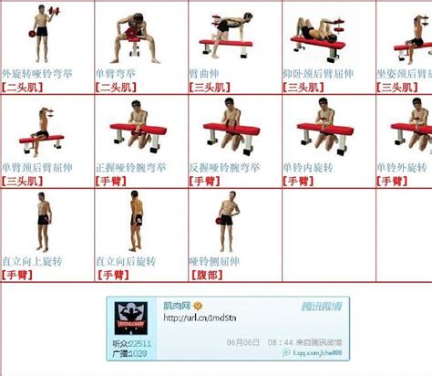 健身器材的名称配图片,健身器材的名字及图片,健身房健身器材名称_大山谷图库