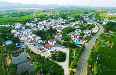 首批10个广东省文化产业赋能乡村振兴典型案例正式发布-广东省电子商务协会