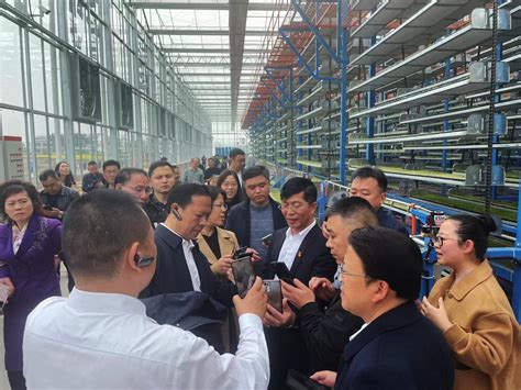 中国速度！重庆永川区大型智能工厂化育秧项目决胜58天竣工投入使用。
