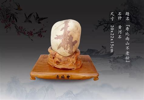 寿比南山不老松_搜宝网|中国奇石博物馆