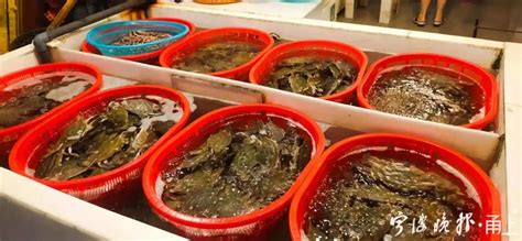 观城·宜宾丨长江野生鱼为何爆发增长，成为“观赏鱼”？_四川在线