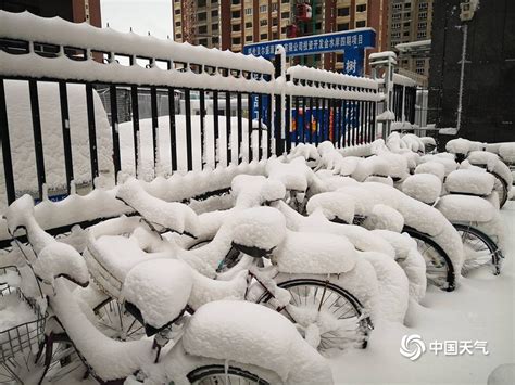内蒙古呼伦贝尔遭遇大暴雪 最大积雪深度达24厘米-天气图集-中国天气网