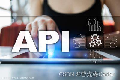 API对接是什么意思，技术分享_api对接啥意思-CSDN博客