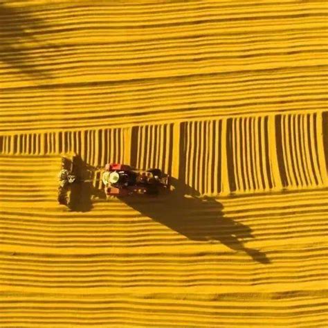 国家粮食和储备局：今年夏粮最低收购价全面提高_小麦_早籼稻_要求