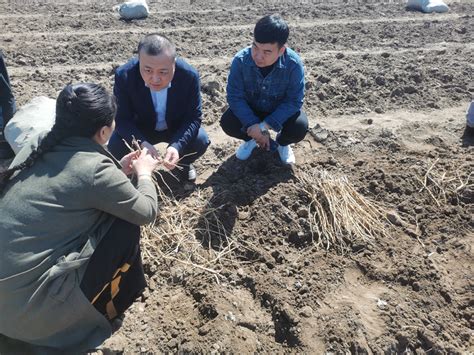 我校承担的大庆市农业农村领域推进乡村振兴项目启动