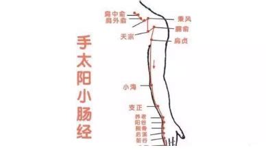 心经的准确位置图图片 心经的准确位置图图片