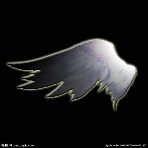天使之翼设计图__图片素材_其他_设计图库_昵图网nipic.com