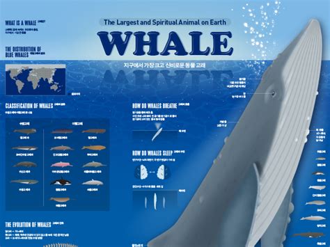 海洋科技鲸鱼背景图片素材-正版创意图片400102650-摄图网