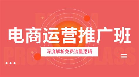 C1-电商推广运营班-6月23日(共13课时视频课程)-淘大师