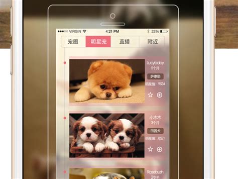 寻宠App 一款关于宠物的移动应用_微微的晨曦-站酷ZCOOL