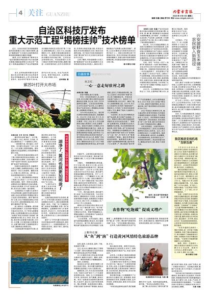 兴安盟鲜食玉米铺出 农民收入新路径_内蒙古商报-20230404期-第4版：关注