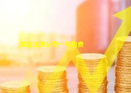 深圳注册公司最新操作流程和费用指南