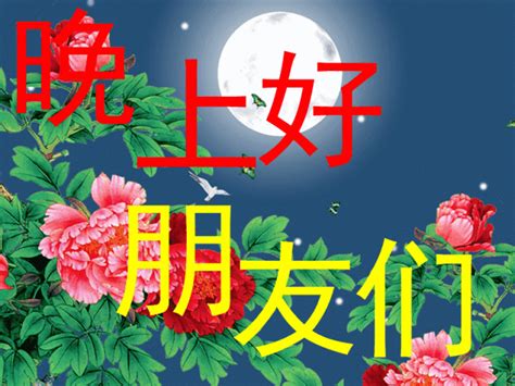 晚上好最新图片