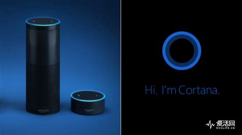 微软希望Cortana能与Alexa和Google助手集成！-太平洋电脑网