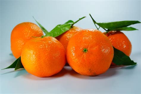 美味新鲜的橙子高清图片下载-正版图片501682162-摄图网