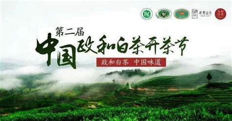 中国政和白茶开茶节 | 一片茶叶带富一方百姓--政和县发展茶产业助力茶农增收致富