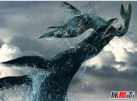 史前第一可怕巨兽，龙王鲸vs巨齿鲨谁才是最厉害的?_小狼观天下