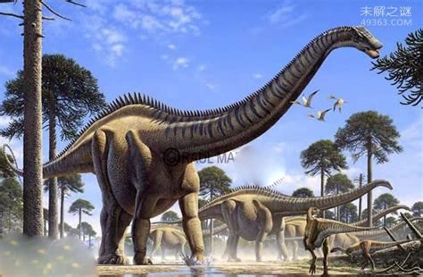 易碎双腔龙系世界上最大的恐龙(重可达220吨)-搜狐大视野-搜狐新闻