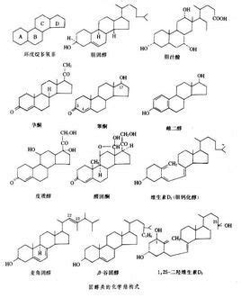 类固醇：搭配类固醇CYCLE使用的一些药物 - 知乎