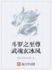 和《斗罗之至尊武魂玄冰凤》一样好看的小说 - 起点中文网