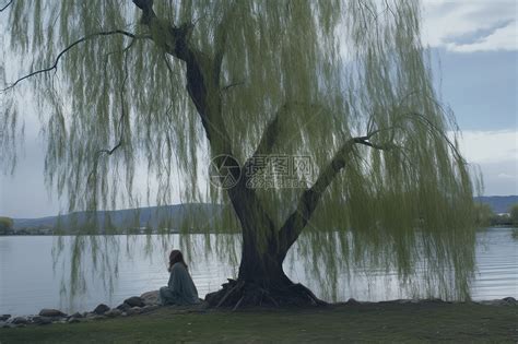 湖边柳树下的女人高清图片下载-正版图片600199963-摄图网