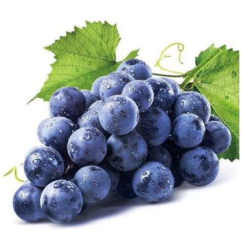 葡萄品种有哪些（14种常见葡萄种类介绍） – 碳资讯