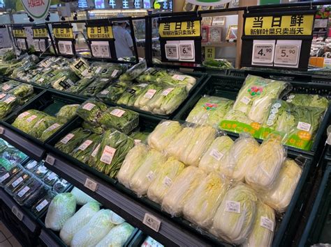 广州：主力品种蔬菜价格基本稳定