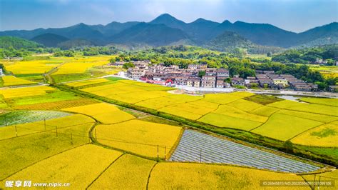 那田蜘蛛山图片