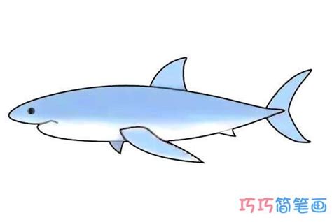 《大白鲨》|纯艺术|素描|纪晖Leo - 原创作品 - 站酷 (ZCOOL)