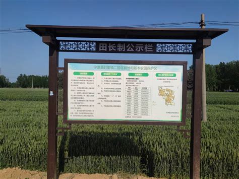 宁津：数字化赋能田长制 聚起耕地保护合力_德州24小时