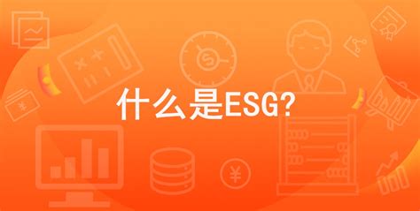 什么是ESG投资？_分析