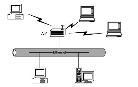 局域网的网络组成结构