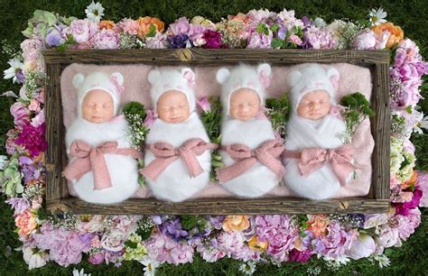 罕见的同卵四胞胎新生儿照片_咔够网 - 摄影器材交流与交易门户网站