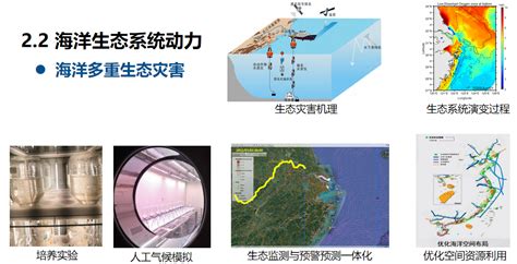 浙江东海实验室孙文波研究员在我室报告----大气科学和地球流体力学数值模拟国家重点实验室
