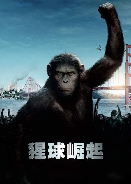 猩球崛起：猩猩玩汉诺塔玩的贼6_腾讯视频