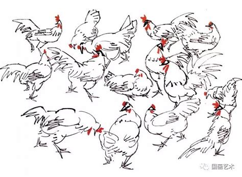国画公鸡的画法和步骤-露西学画画