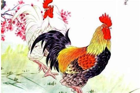 十二生肖鸡的故事 - 中华风水网