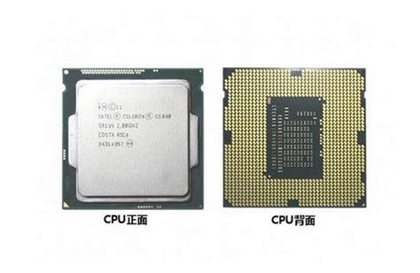 intel最新CPU赛扬 420比AMD 4000+快多少？
