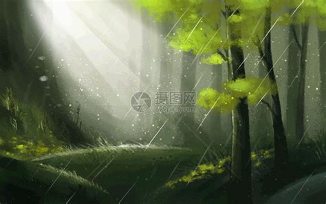 林中春雨gif动图图片-正版gif素材401005045-摄图网