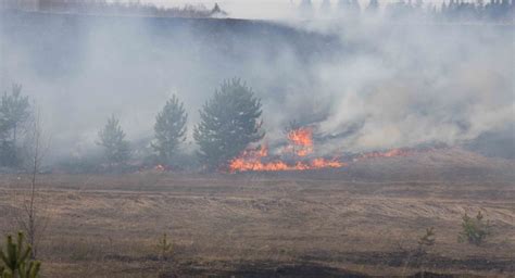俄罗斯乌德穆尔特军火库旧址火灾过火面积达300公顷 - 2018年5月17日, 俄罗斯卫星通讯社