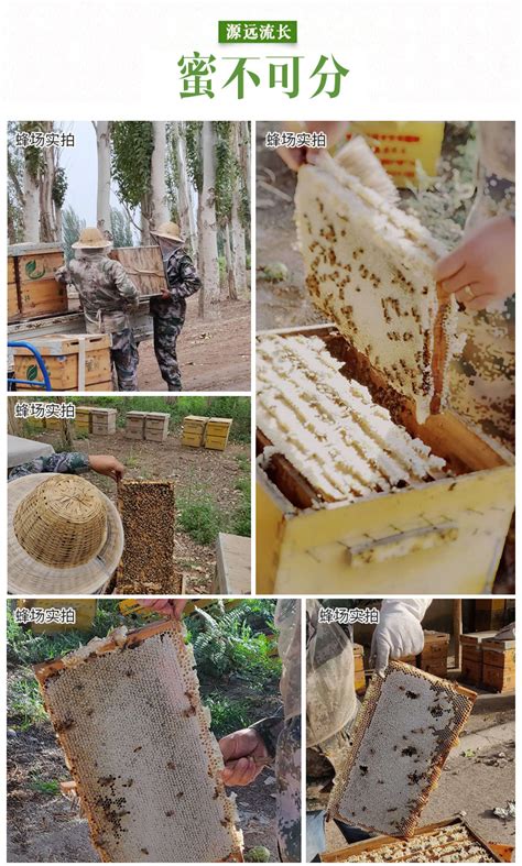 新疆蜂农自产自销蜂蜜 1000g瓶装沙枣花蜜 农家自产枣花蜂蜜-阿里巴巴
