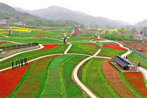 Tulips in Full Bloom in Gushi, Xinyang_Attractions_The People’s Government of Henan Province